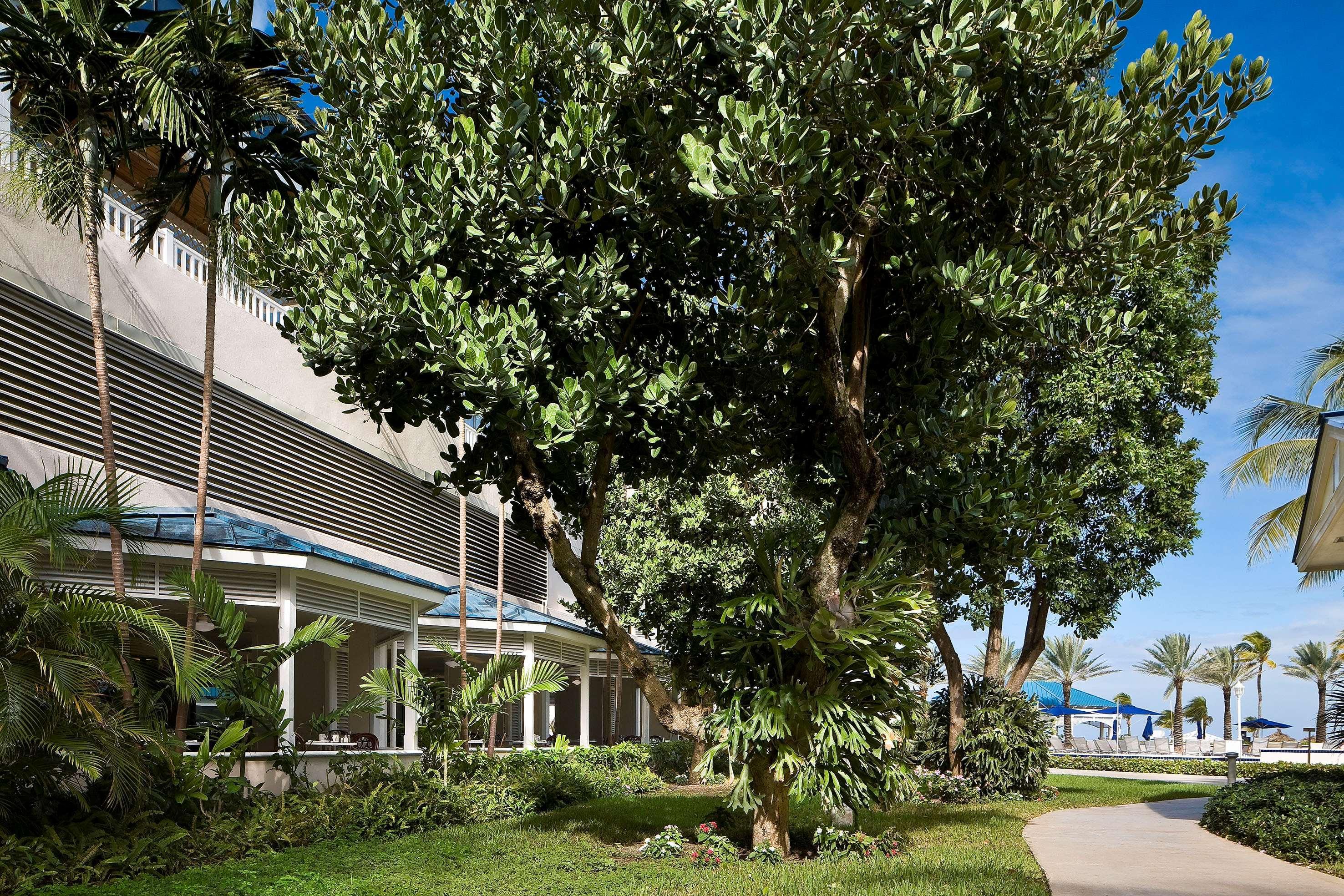 Melia Nassau Beach Exterior photo